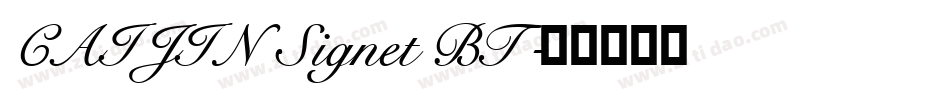 CAIJIN Signet BT字体转换